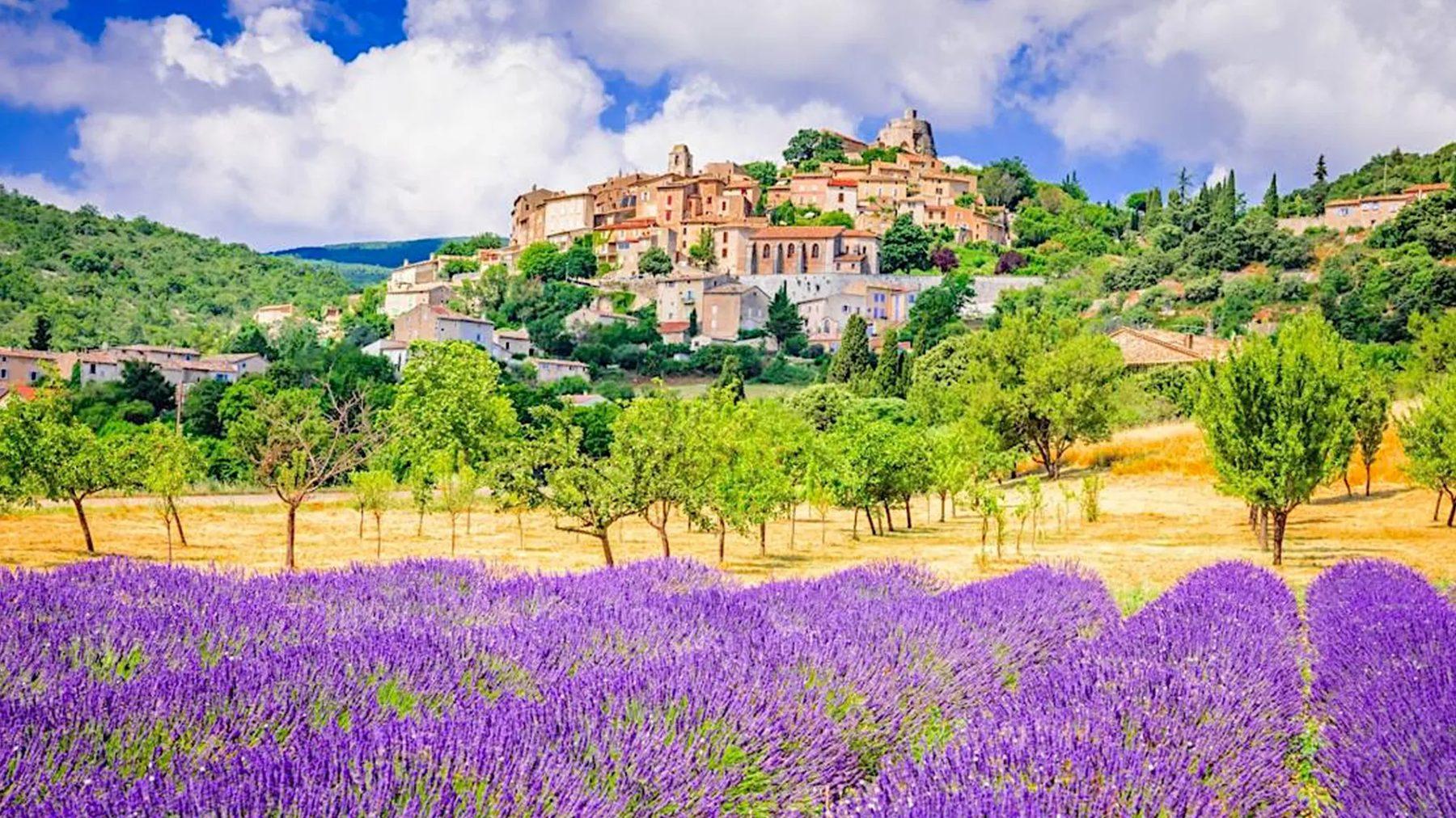 Degustazione di vini in villa